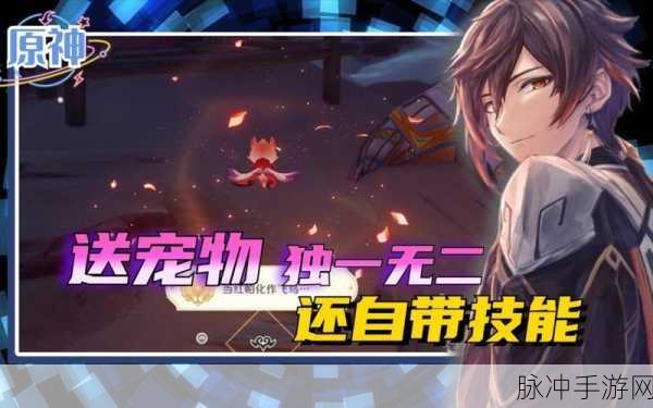 原神头上小宠物获取秘籍,打造独一无二的角色风采!