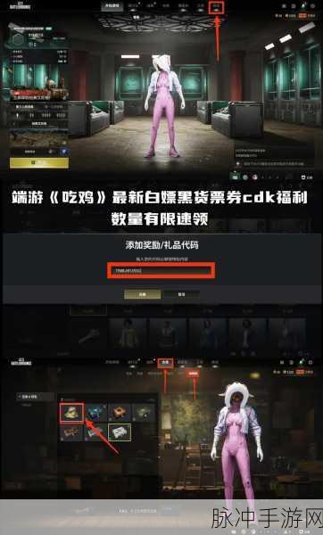 绝地求生Steam版,轻松查看你的服务器归属