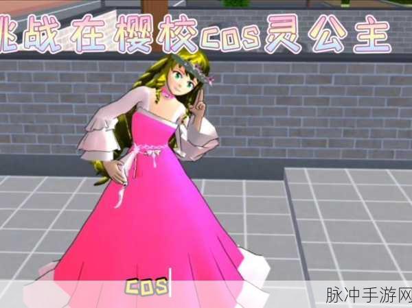 青春樱校探秘,活力四射的角色扮演之旅等你来启航
