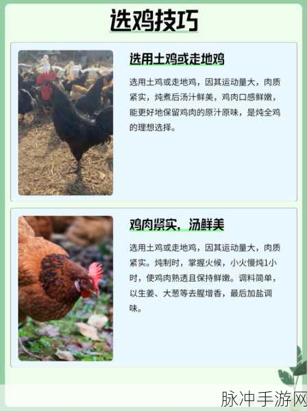 我的世界养鸡秘籍,揭秘鸡的食谱