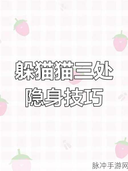 和平精英躲猫猫模式,揭秘最佳躲藏地点