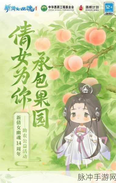 倩女幽魂录蟠桃节,深度玩法大揭秘,资源管理助你策略登顶
