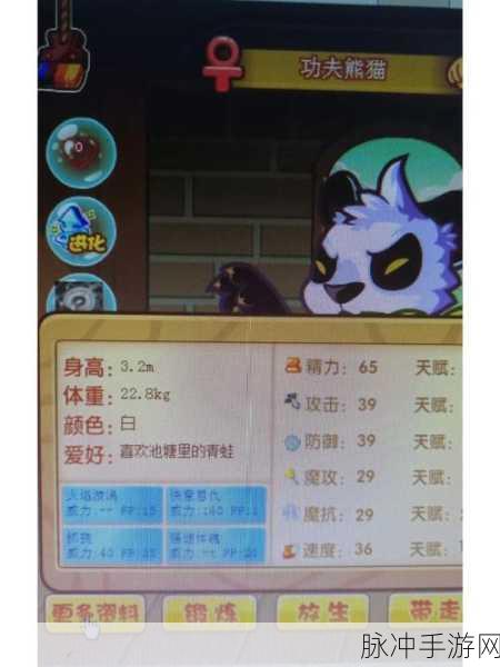 洛克王国宠物蛋掉落全揭秘,踏上你的宝藏蛋探险之旅