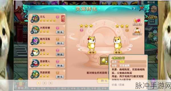 造梦西游5金犬攻略大揭秘,助你称霸西游副本世界!