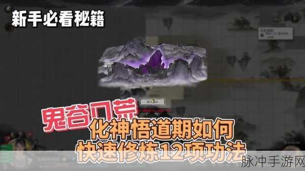 鬼谷八荒深度探索,全面攻略助你揭秘结晶丹获取秘籍