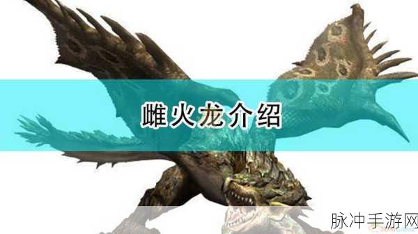 怪物猎人世界雌火龙β套,属性与技能深度剖析