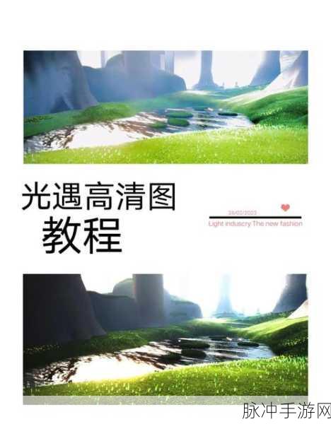 光遇深度探索,揭秘净化十株黑暗植物的终极攻略