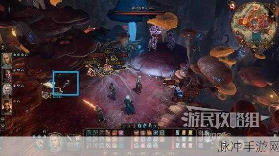 博德之门3,揭秘幽暗地域的多样进入之道