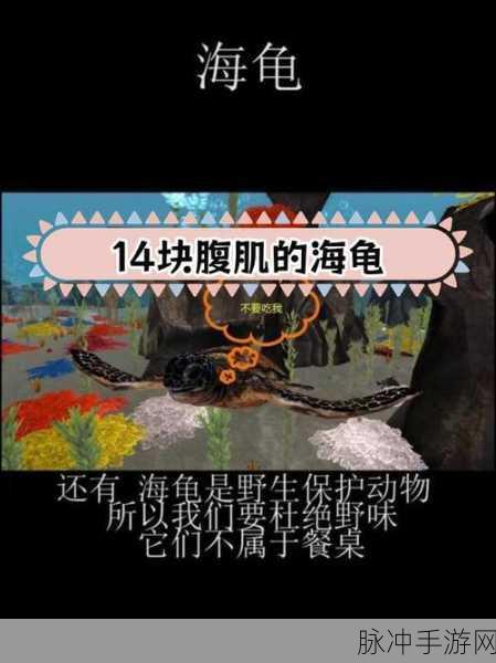 泰拉瑞亚海草奇遇,揭秘宠物龟解锁的神奇之旅