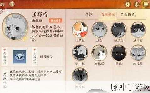忘川风华录名士猫50级技能全攻略,解锁最强搭配与实战技巧