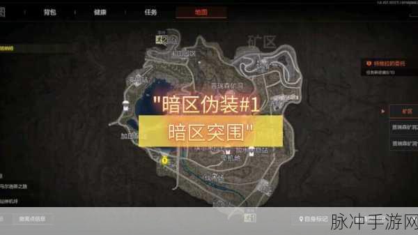 暗区突围,精英伪装术全攻略,解锁你的伪装大师之路