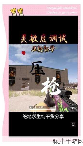 绝地求生,新手进阶大师的全面实战指南