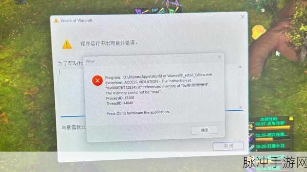 魔兽世界Plater帧数卡顿?这些妙招助你流畅游戏