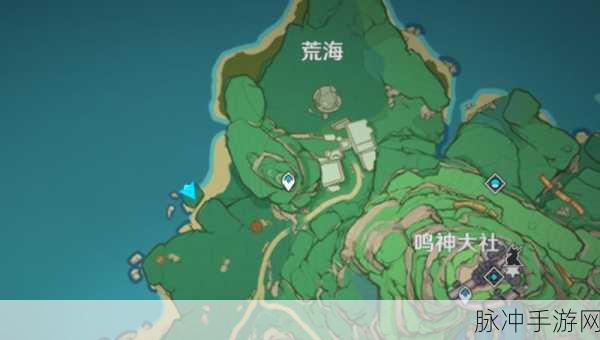 原神稻妻鲸井小弟全揭秘,八大神秘位置等你探索