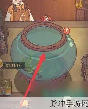咸鱼之王小乔升星秘籍,解锁强力辅助新境界