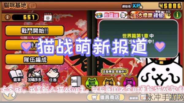 猫猫斗你玩安卓新版上线,萌宠激战,放置养成新体验