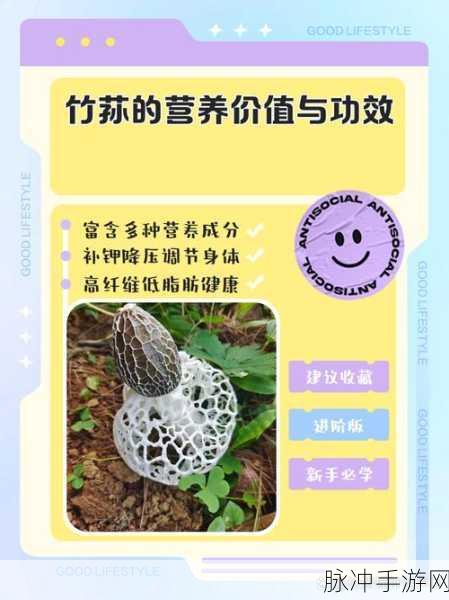星球重启竹荪煲，解锁雪山珍馐秘籍