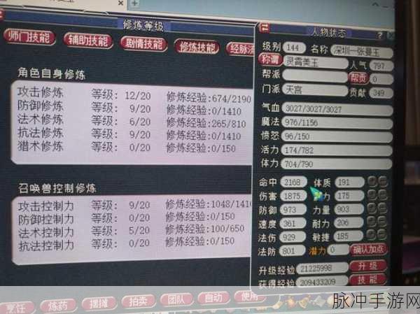 梦幻西游告密挑战，等级门槛与攻略详解