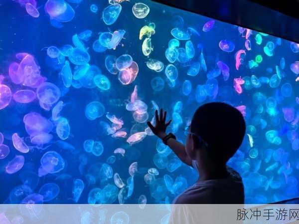 米加世界海洋公园，打造你的梦幻海底王国