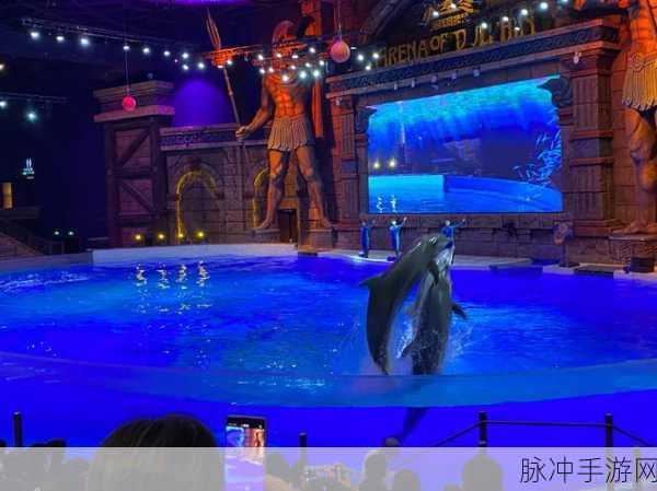米加世界海洋公园,打造你的梦幻海底王国