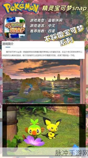 精灵宝可梦剑盾手游中文版,经典回合策略,重塑冒险新篇章
