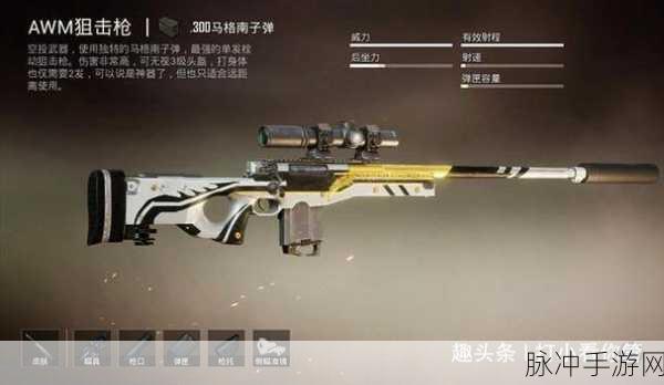 和平精英MK20狙击步枪,深度剖析与实战攻略