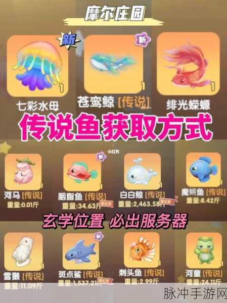 摩尔庄园传说鱼垂钓全攻略，解锁神秘鱼类的最佳时段