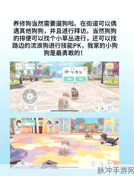 狗生模拟器安卓新版上线，体验小狗的奇妙经营之旅