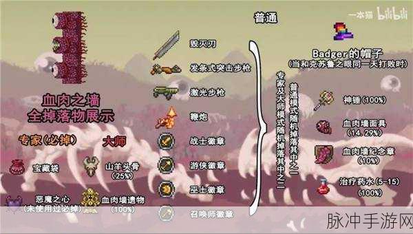 泰拉瑞亚世界吞噬者,钥匙模具的掉落之谜