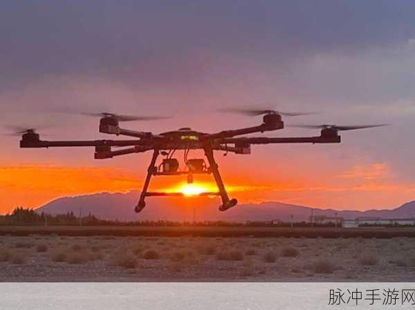 边境之旅，迁徙浪潮下的情感与策略交织
