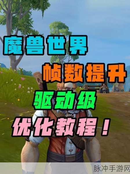 魔兽世界帧数提升秘籍,流畅战斗不再是梦