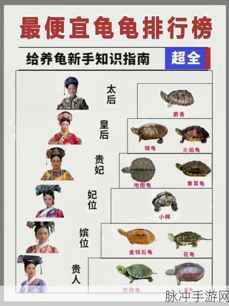 最强蜗牛乌龟挑战揭秘,几根香才能搞定?乌龟攻略大放送!