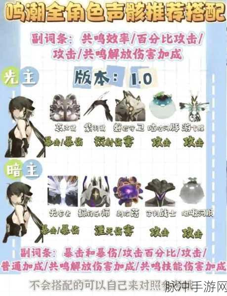鸣潮凌阳角色深度解析，声骸装配、阵容搭配与武器选择全攻略