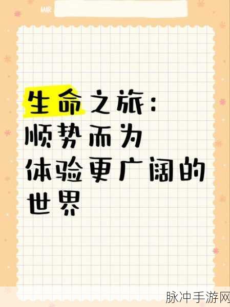 生命线,纯粹文字编织的冒险之旅,即刻启程下载