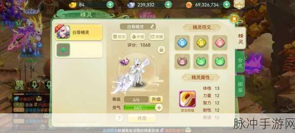 西游女儿国狂徒职业深度解析，加点与技能搭配全攻略
