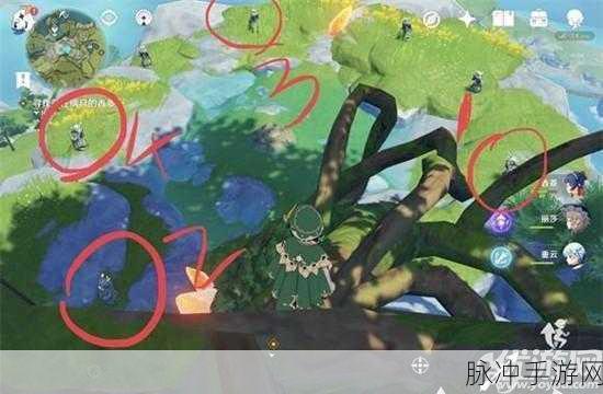 原神探索指南，轻策庄最高处碎片点亮全攻略，解锁隐藏任务奥秘