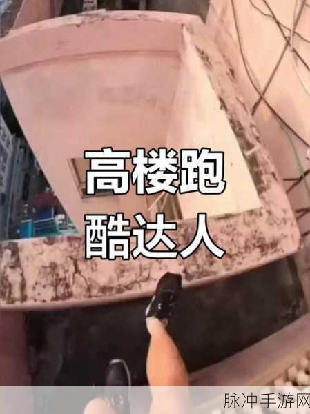 屋顶冲浪震撼来袭，预约下载开启跑酷新纪元