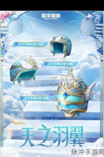 和平精英天之羽翼军需价格全解析