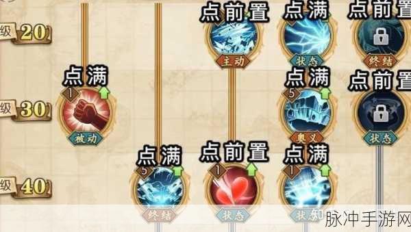 航海王燃烧意志技能加点深度剖析，核心思路大揭秘