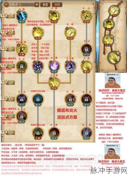 航海王燃烧意志技能加点深度剖析,核心思路大揭秘