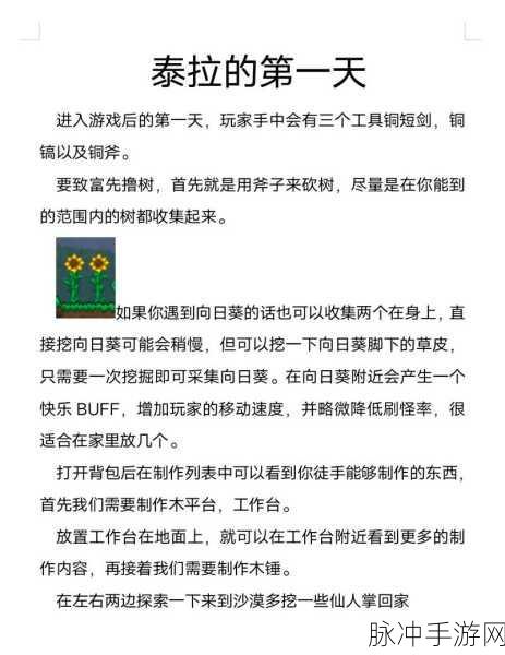 泰拉瑞亚机关门放置技巧大揭秘