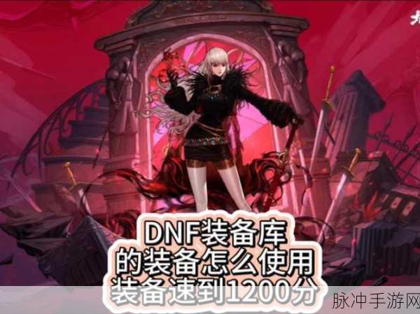 DNF玩家深度探索,各大仓库实用性与高效性大比拼!