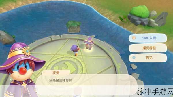 摩尔庄园魔法师，技能加点与策略深度剖析