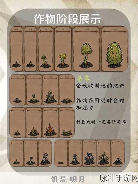 饥荒生存宝典，解锁植物种植秘籍，助你活到最后！