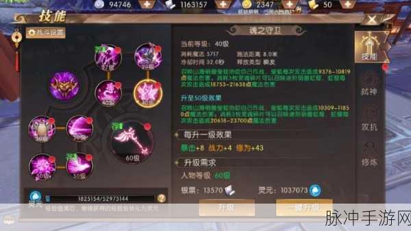 轩辕传奇手游深度解析，御兽升阶全攻略