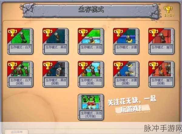 植物大战僵尸无尽挑战，解锁无限乐趣的源码探秘