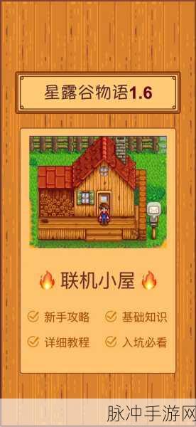 星露谷物语联机版，悠然田园，联机共筑生活梦