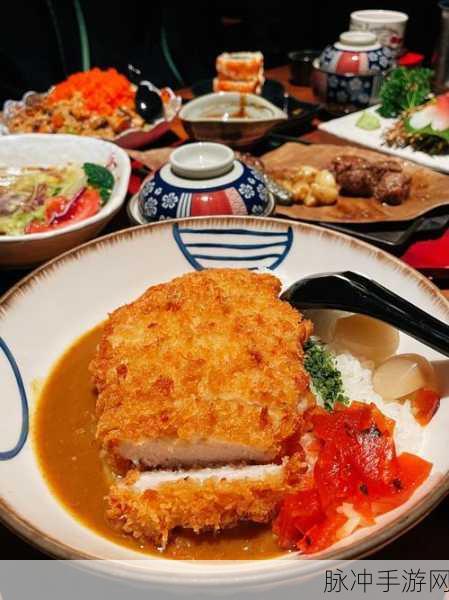 小森生活咖喱猪排饭食谱揭秘,打造你的专属美味