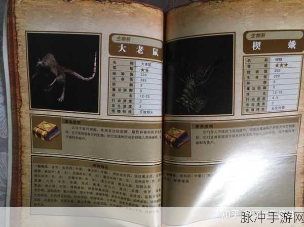 冒险岛混沌碎片获取攻略,揭秘掉落怪物