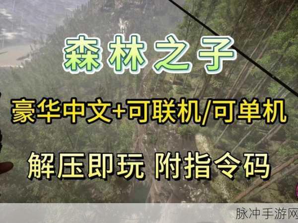 森林之子,解锁绳子,探险者的生存秘籍大公开